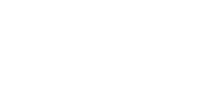 Nexi Checkout App